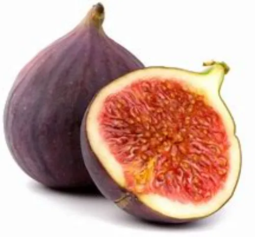 Fig